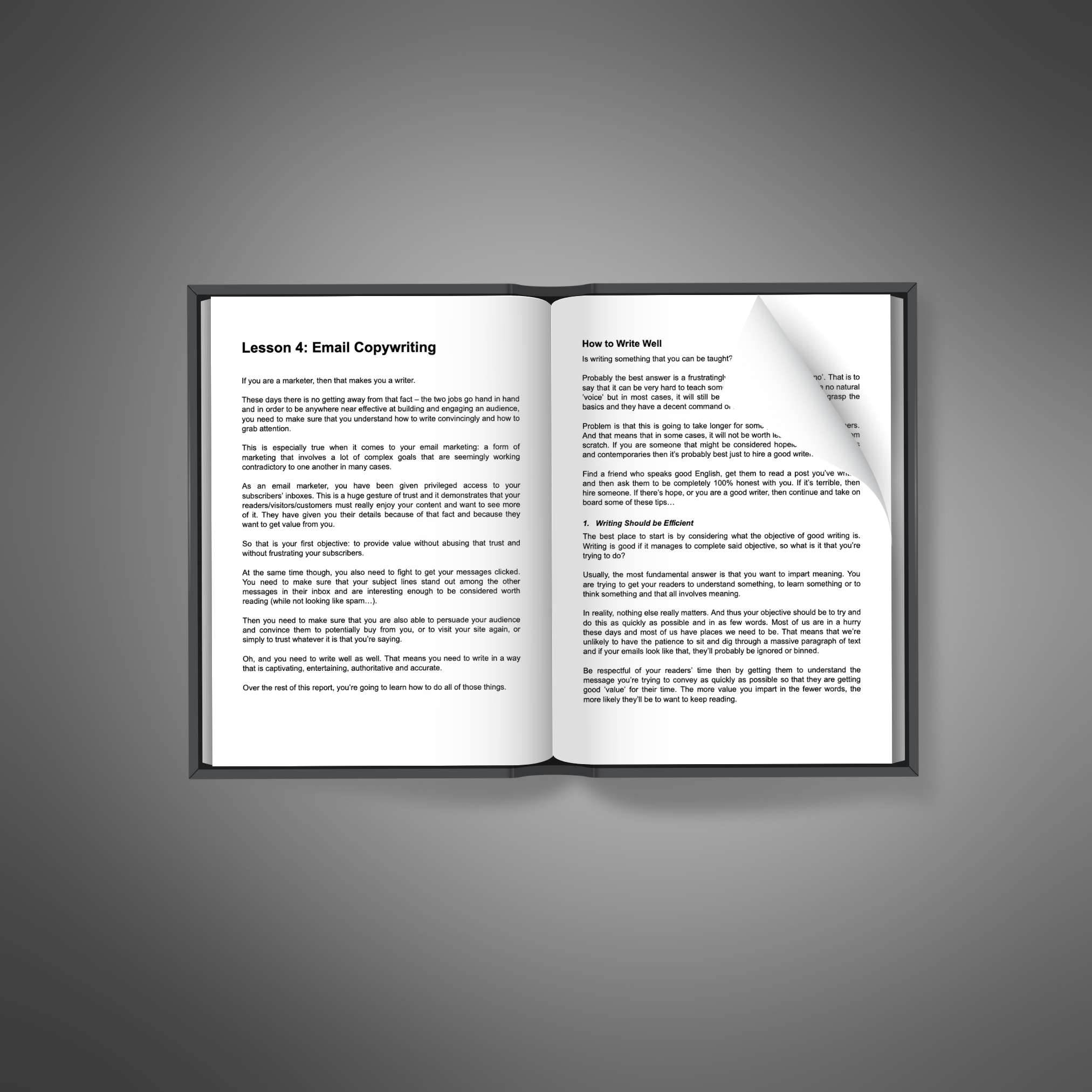 Email List Guru resource preview image 5