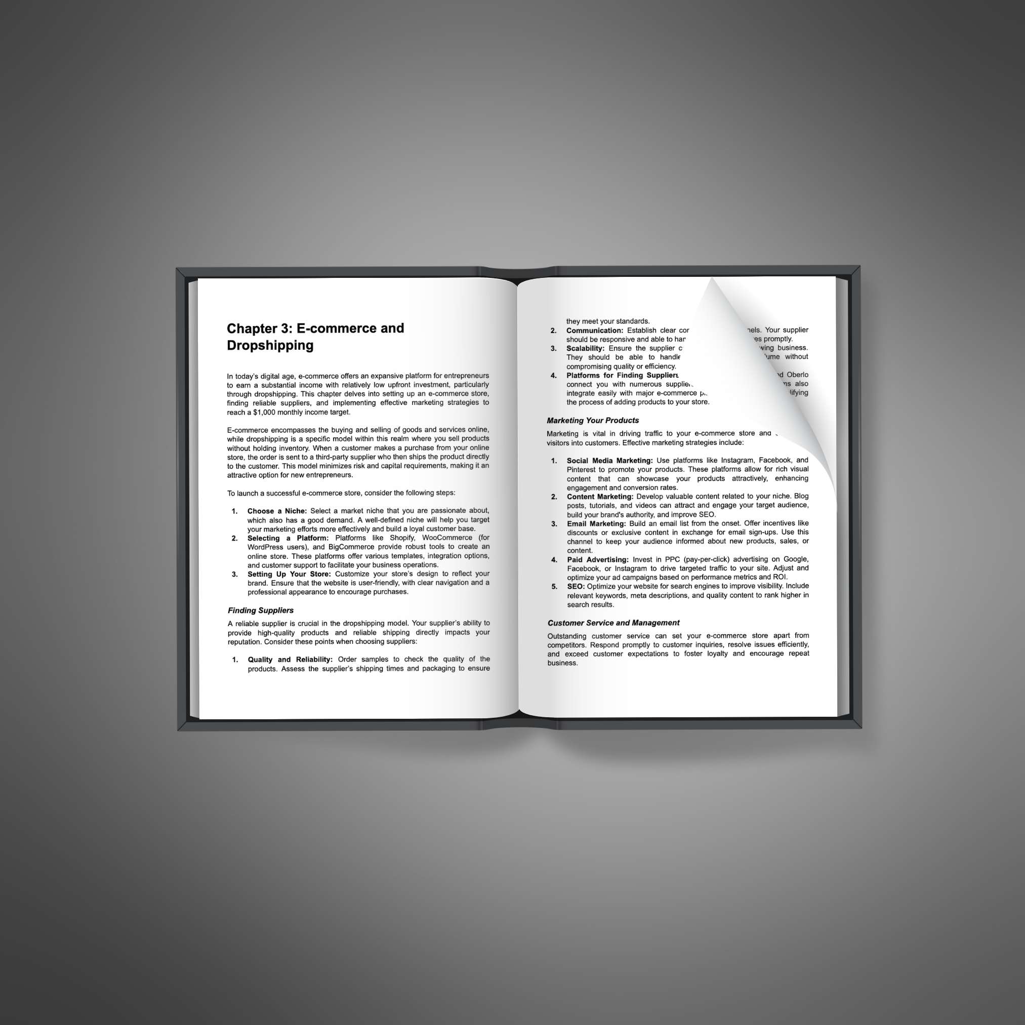 Extra Income Strategies resource preview image 5