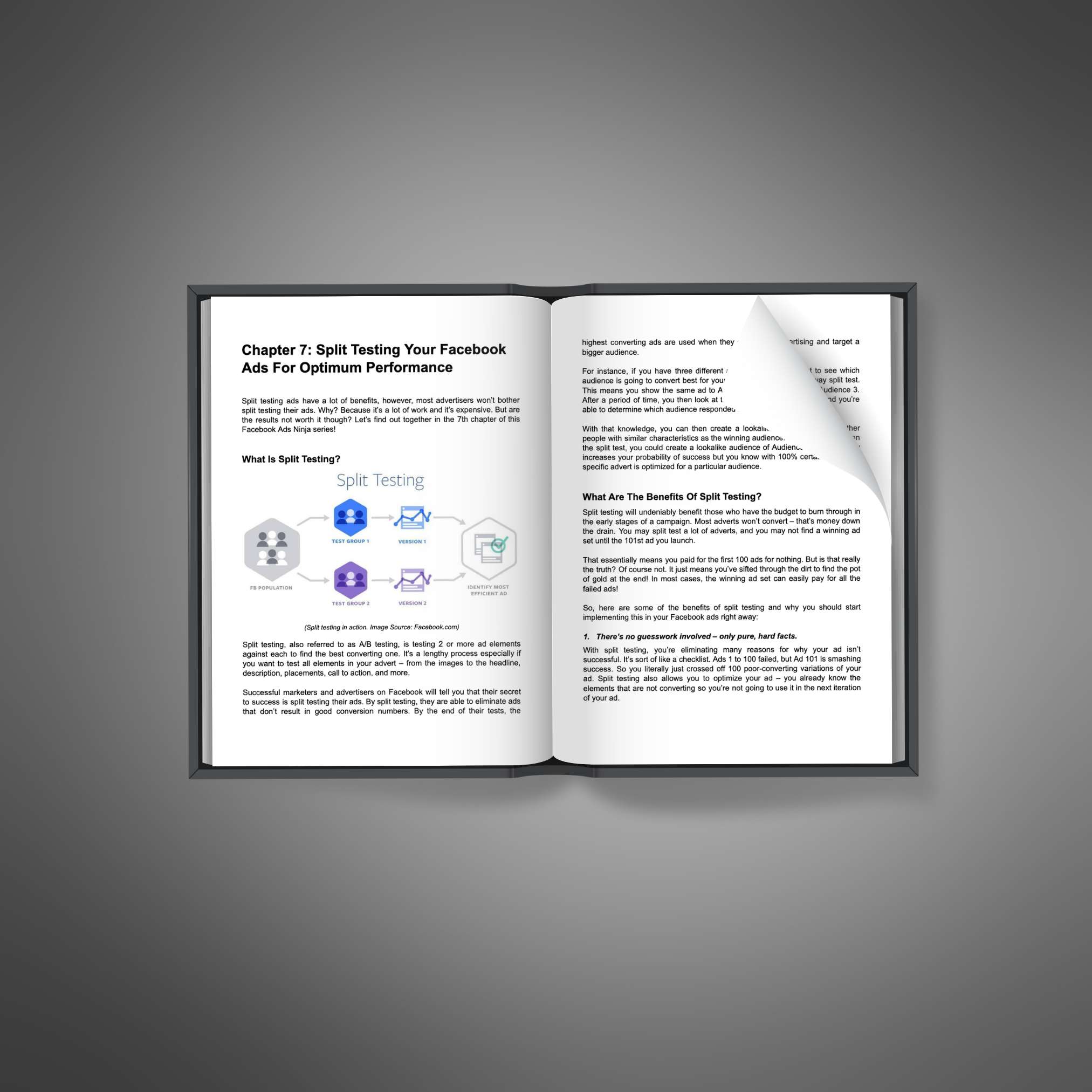 Facebook Ad Mastery resource preview image 5