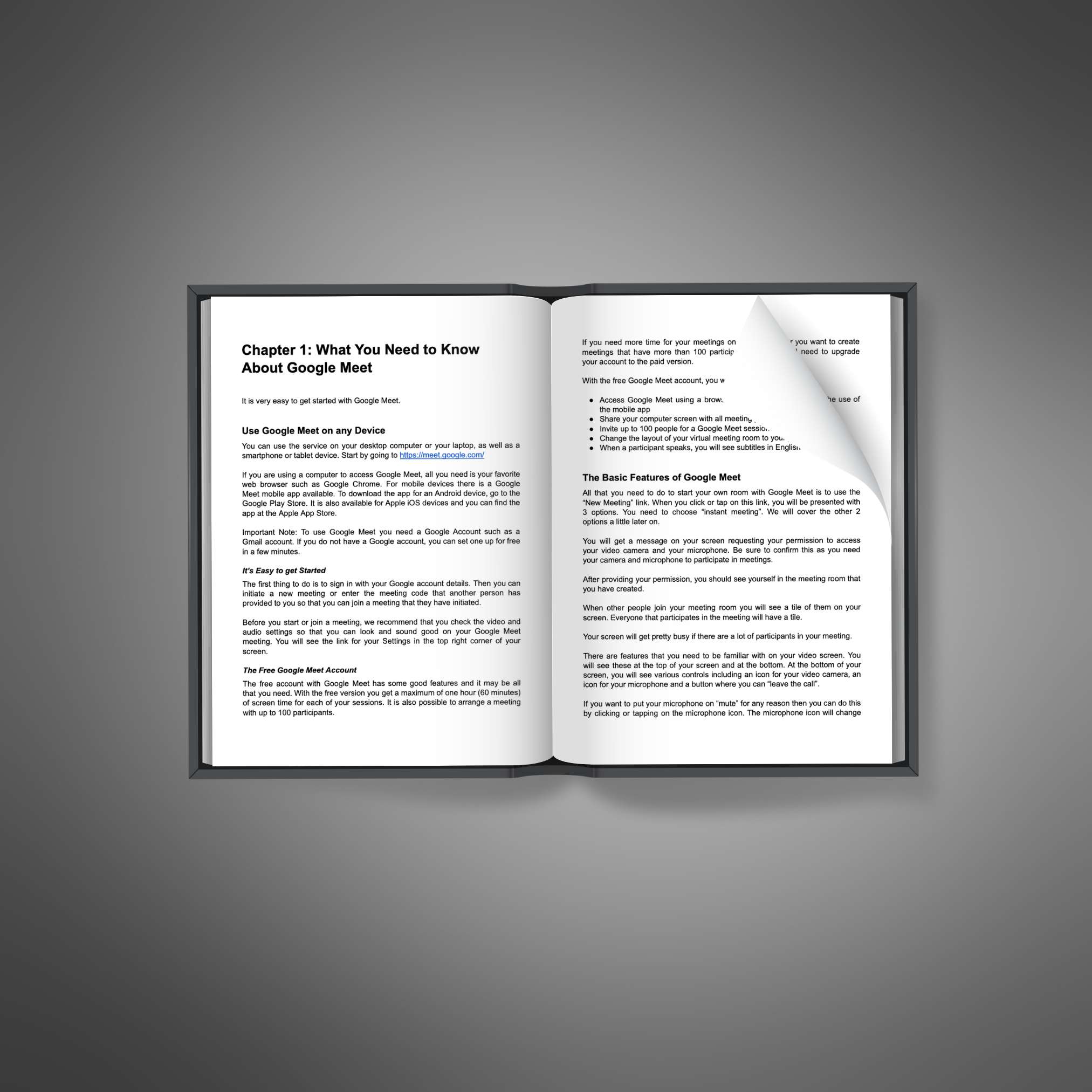 Google Meet Mastery resource preview image 5