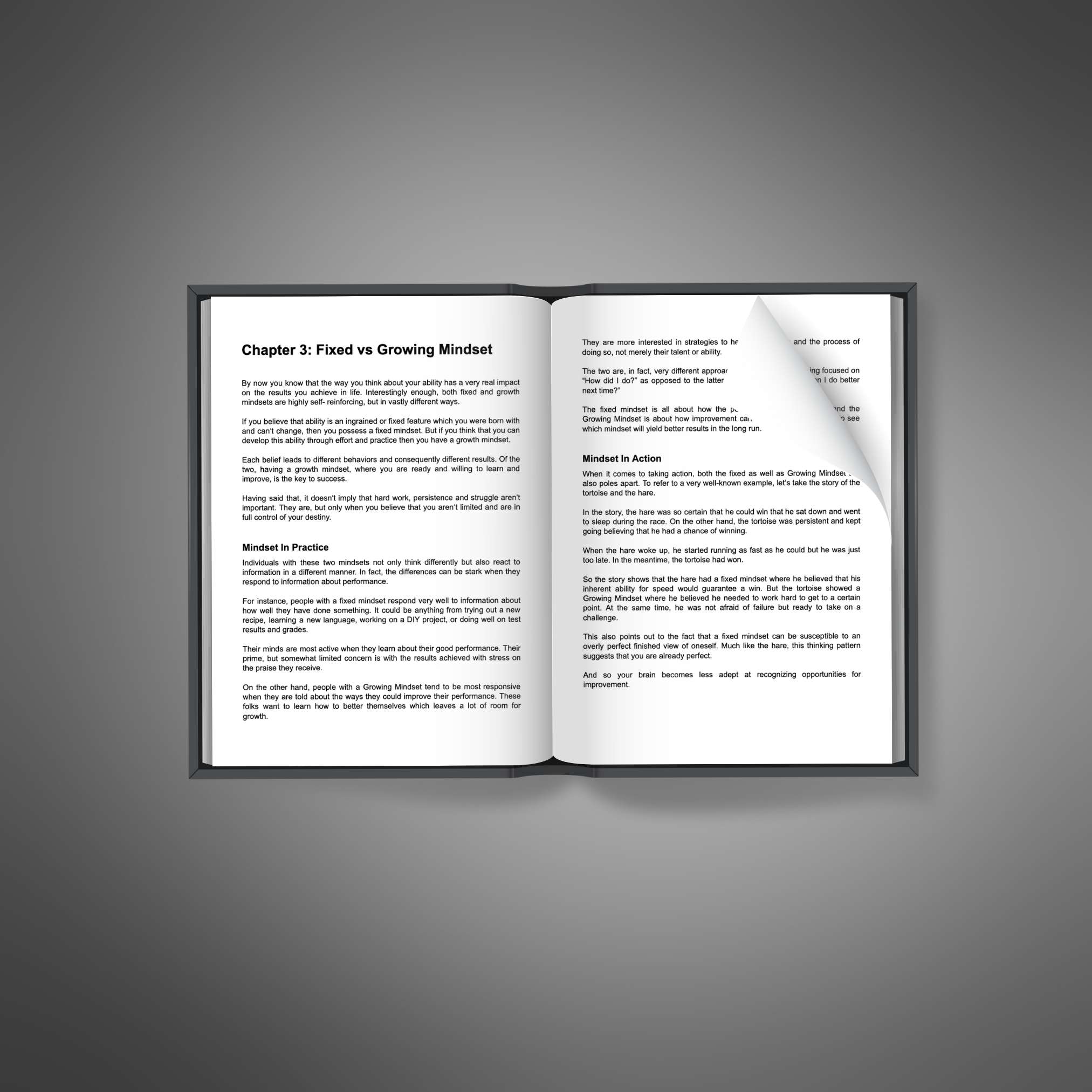 Growing Mindset resource preview image 5
