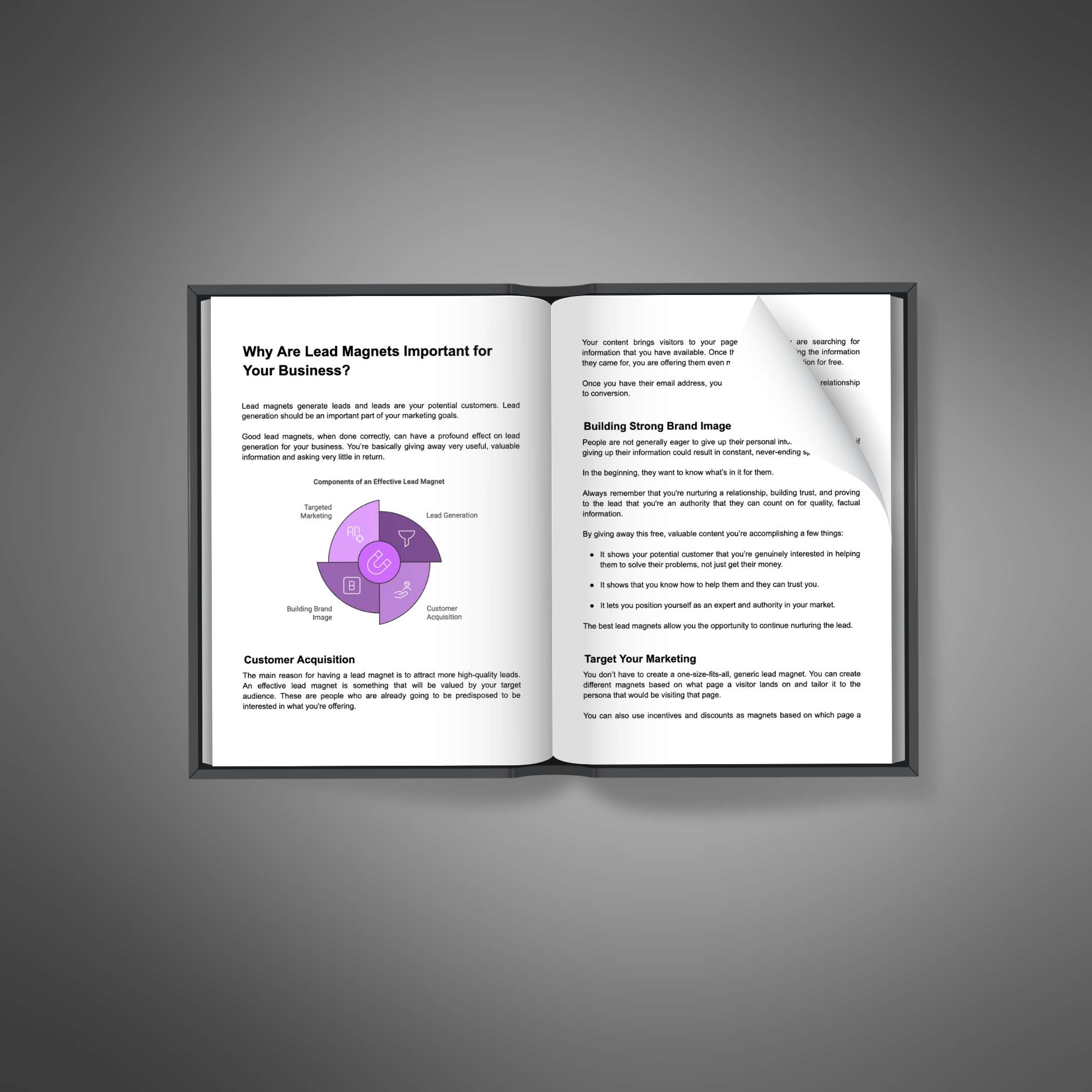 Lead Magnet Conversions resource preview image 5