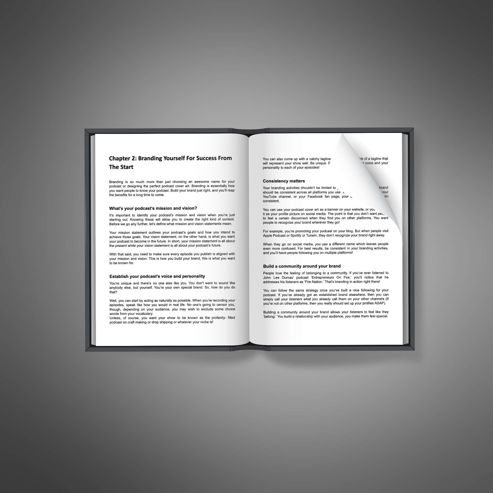 Podcasting Secrets resource preview image 5