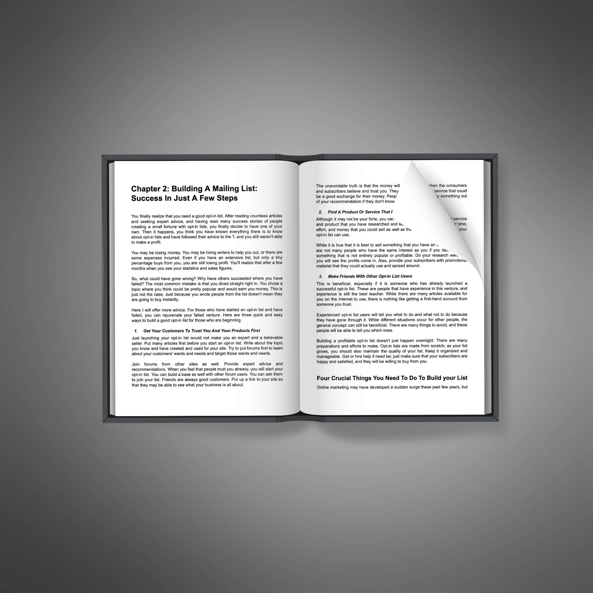 Power of Email Marketing resource preview image 5