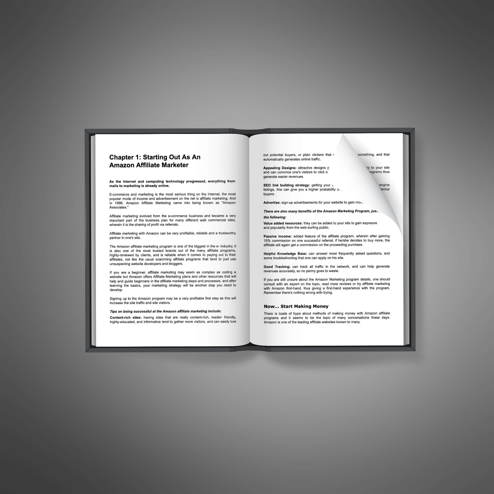 Amazon Associate Influence resource preview image 5