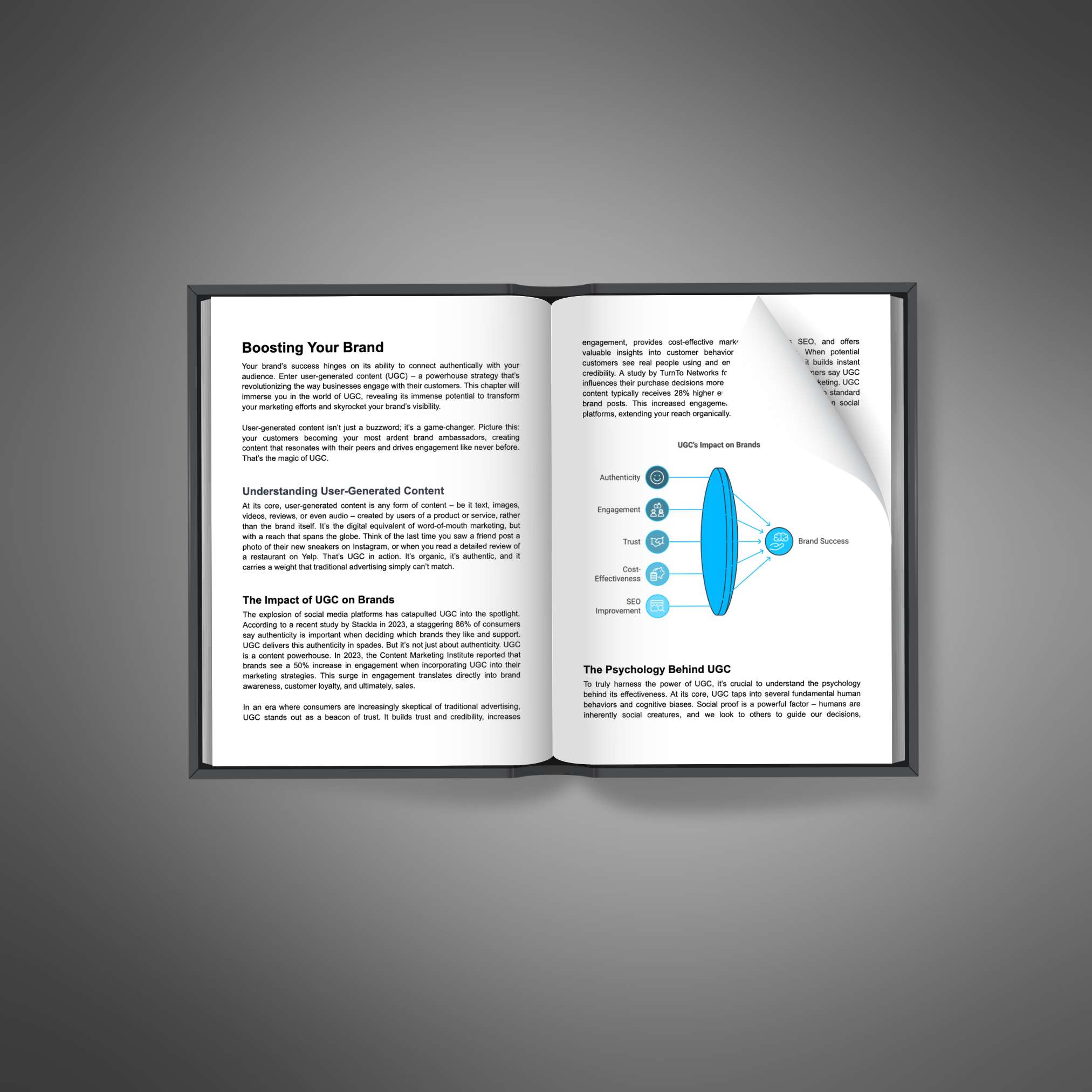 Power Of User-Generated Content resource preview image 5