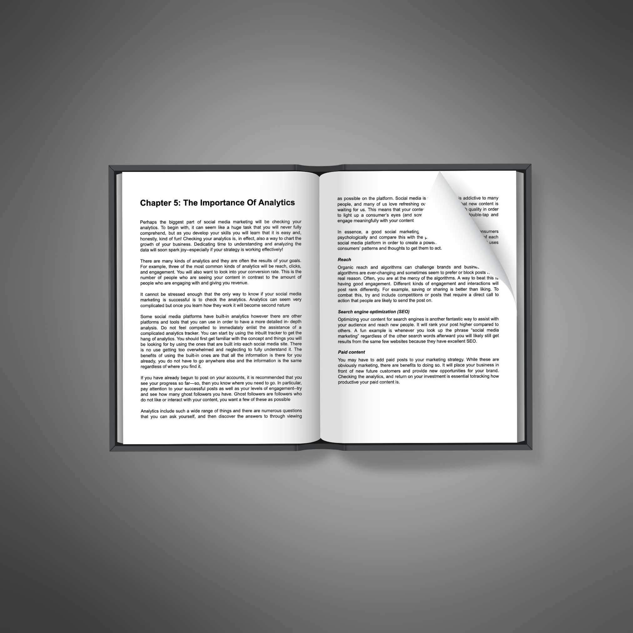 Social Media Finetuning resource preview image 5