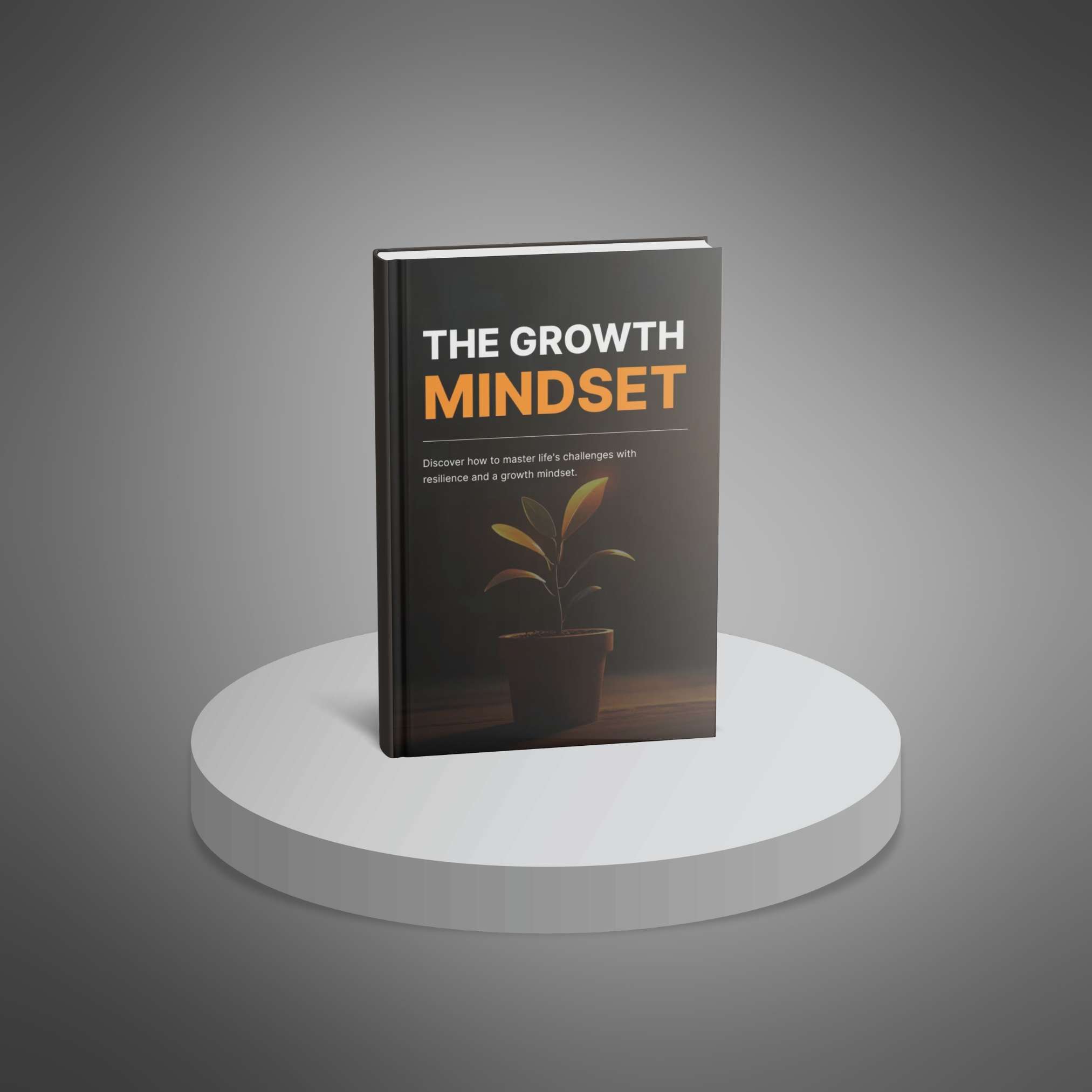 The Growth Mindset resource preview image 2