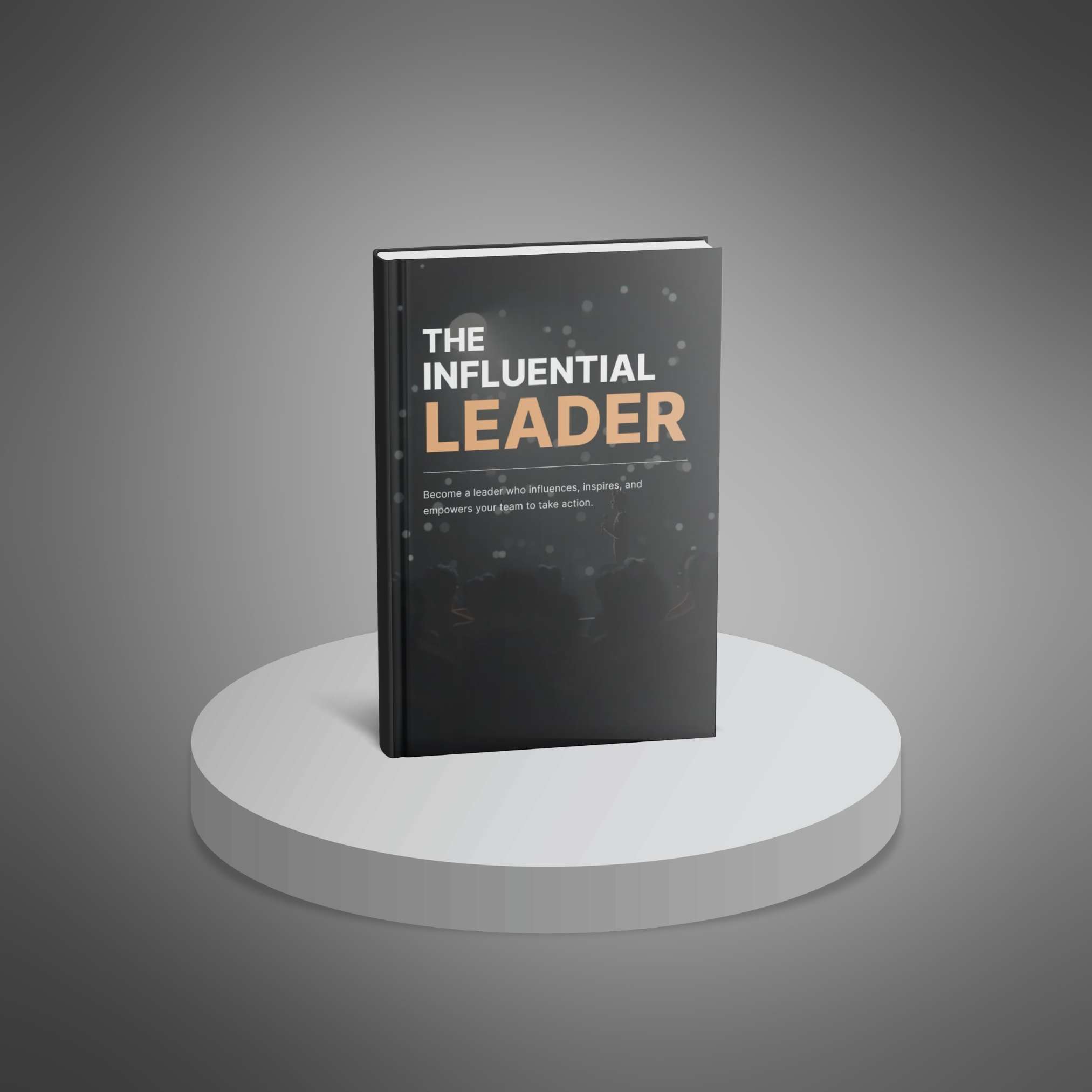 The Influential Leader resource preview image 2