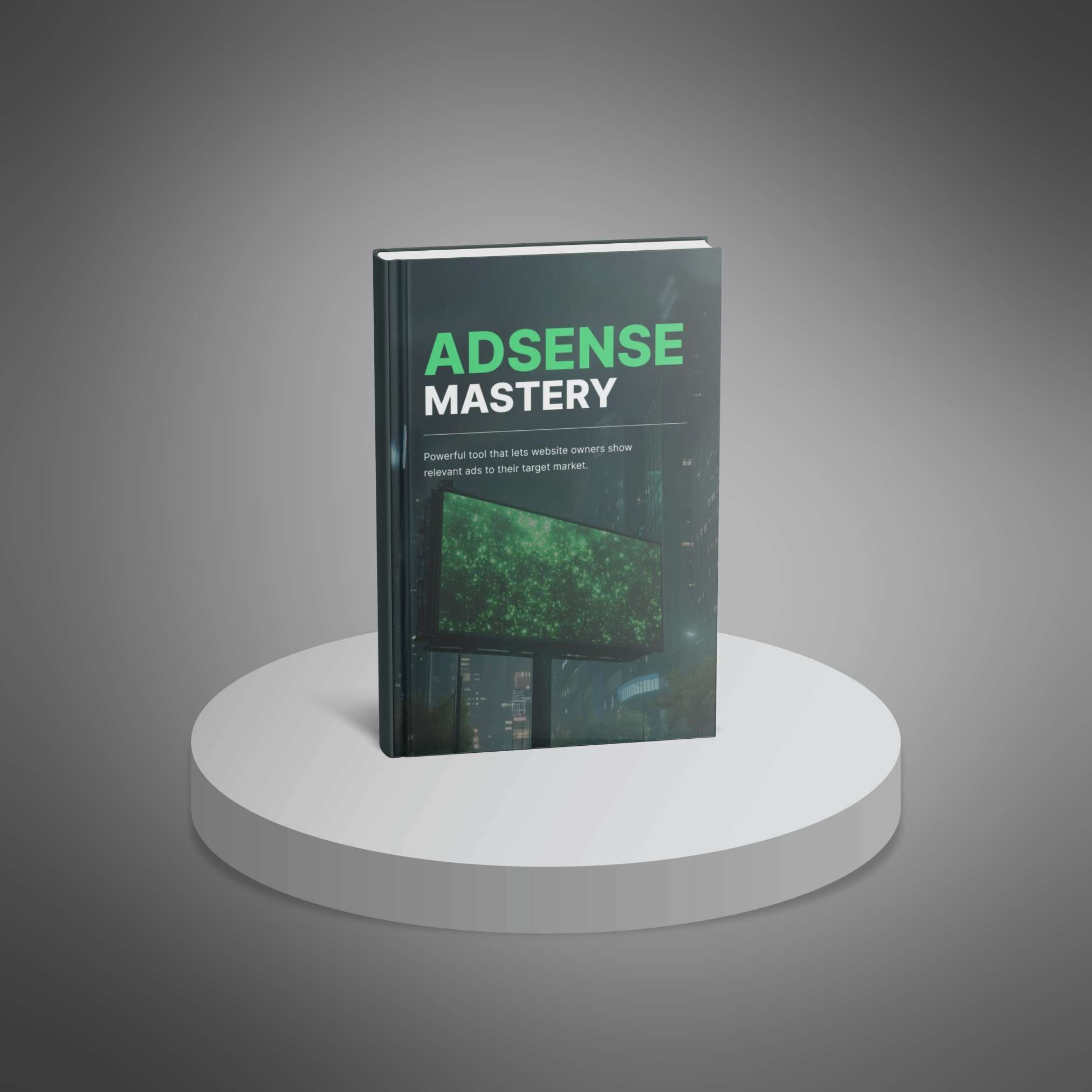AdSense Mastery resource preview image 2