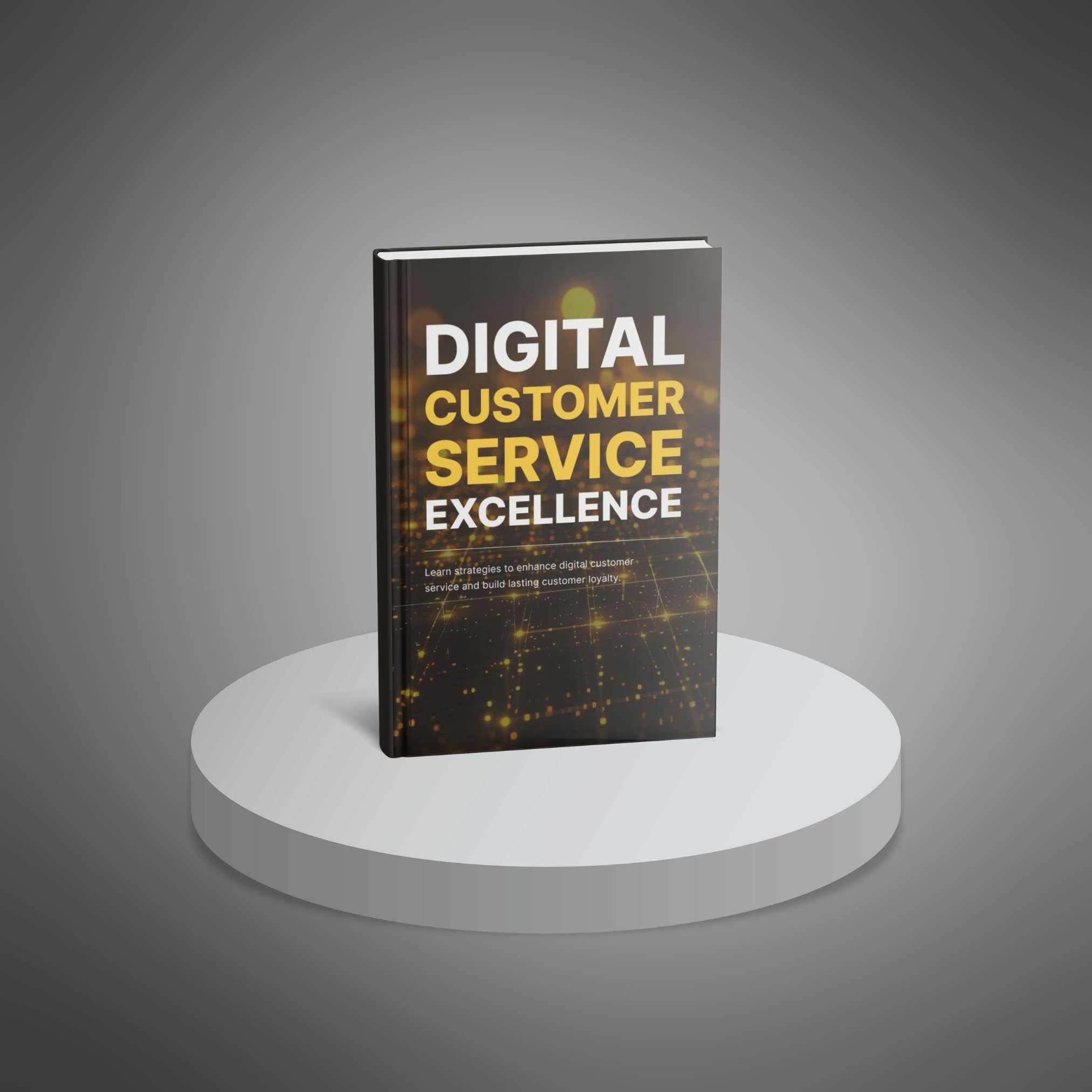 Digital Customer Service Excellence resource preview image 2