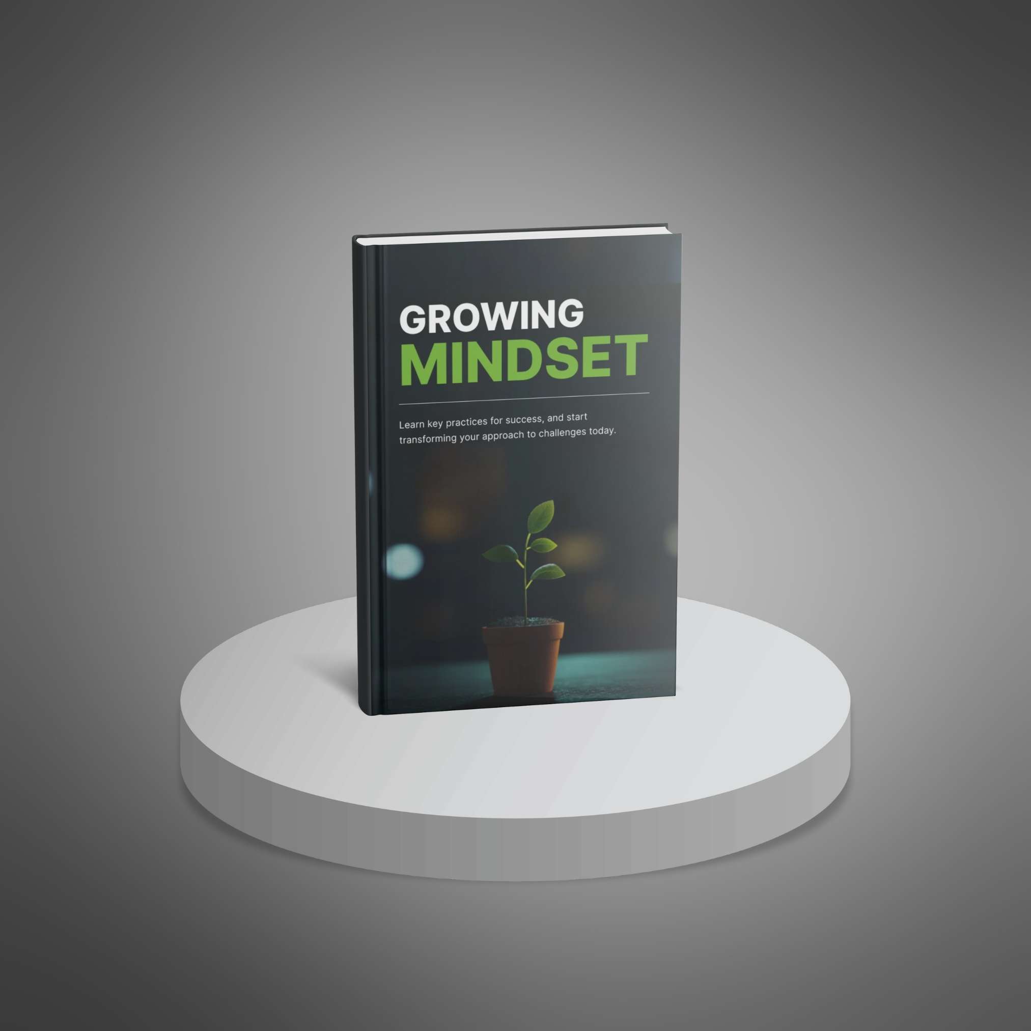 Growing Mindset resource preview image 2