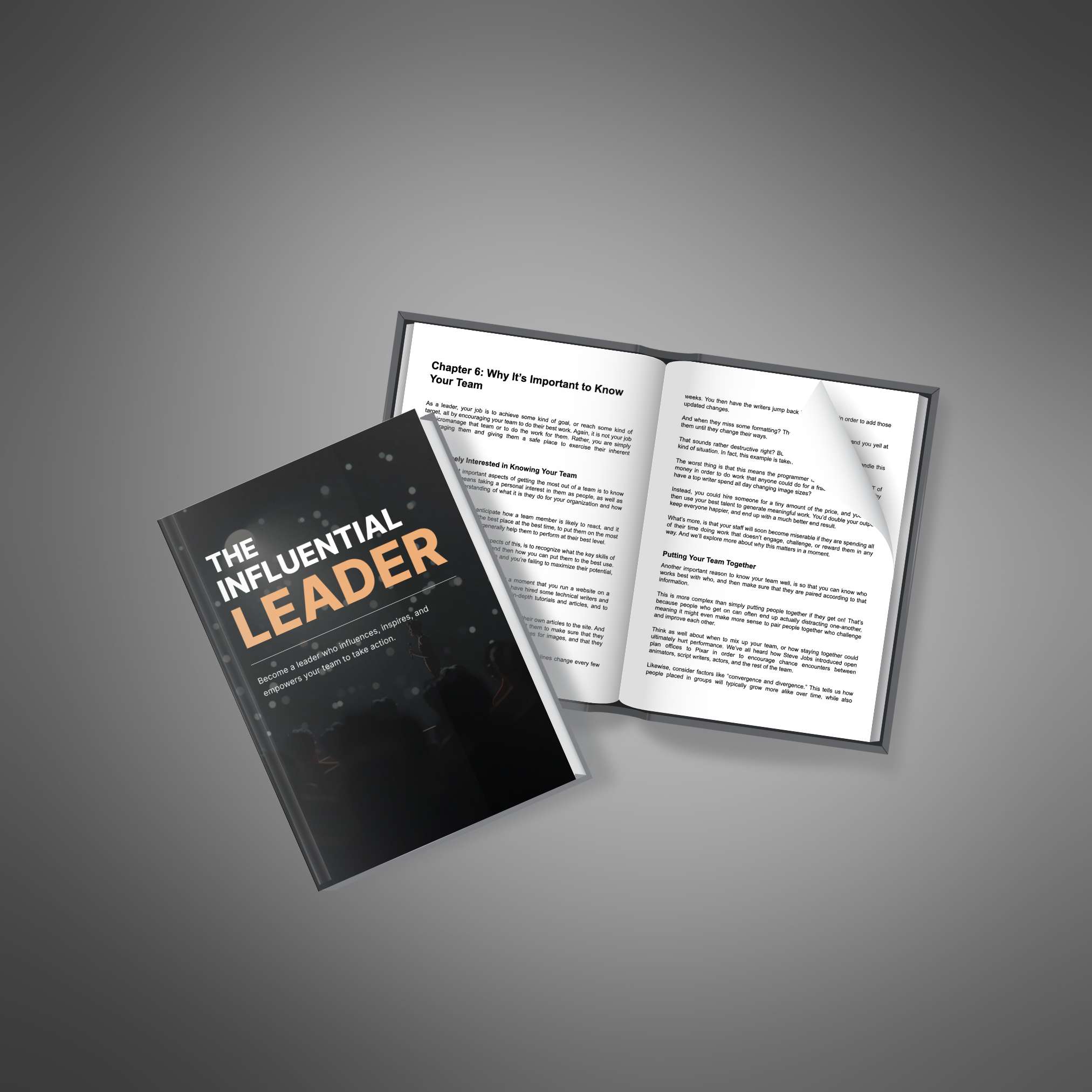 The Influential Leader resource preview image 3