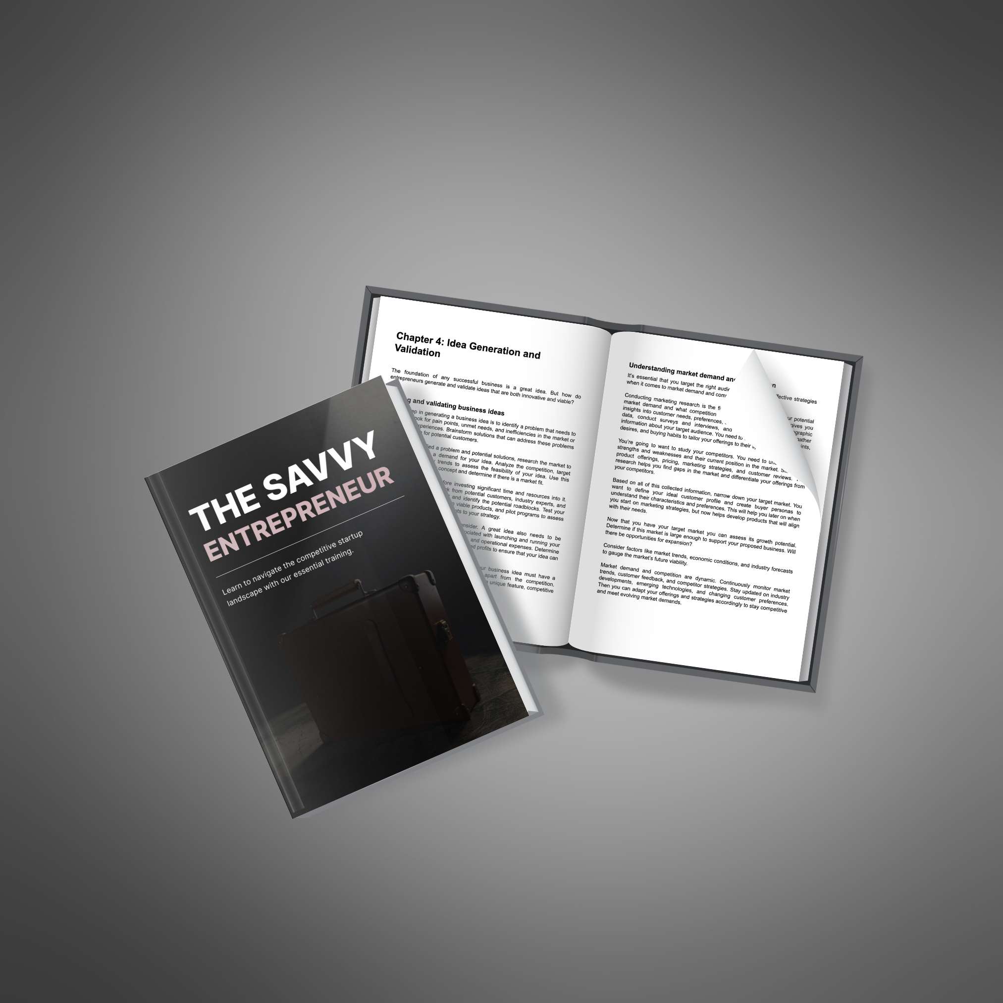 The Savvy Entrepreneur resource preview image 3