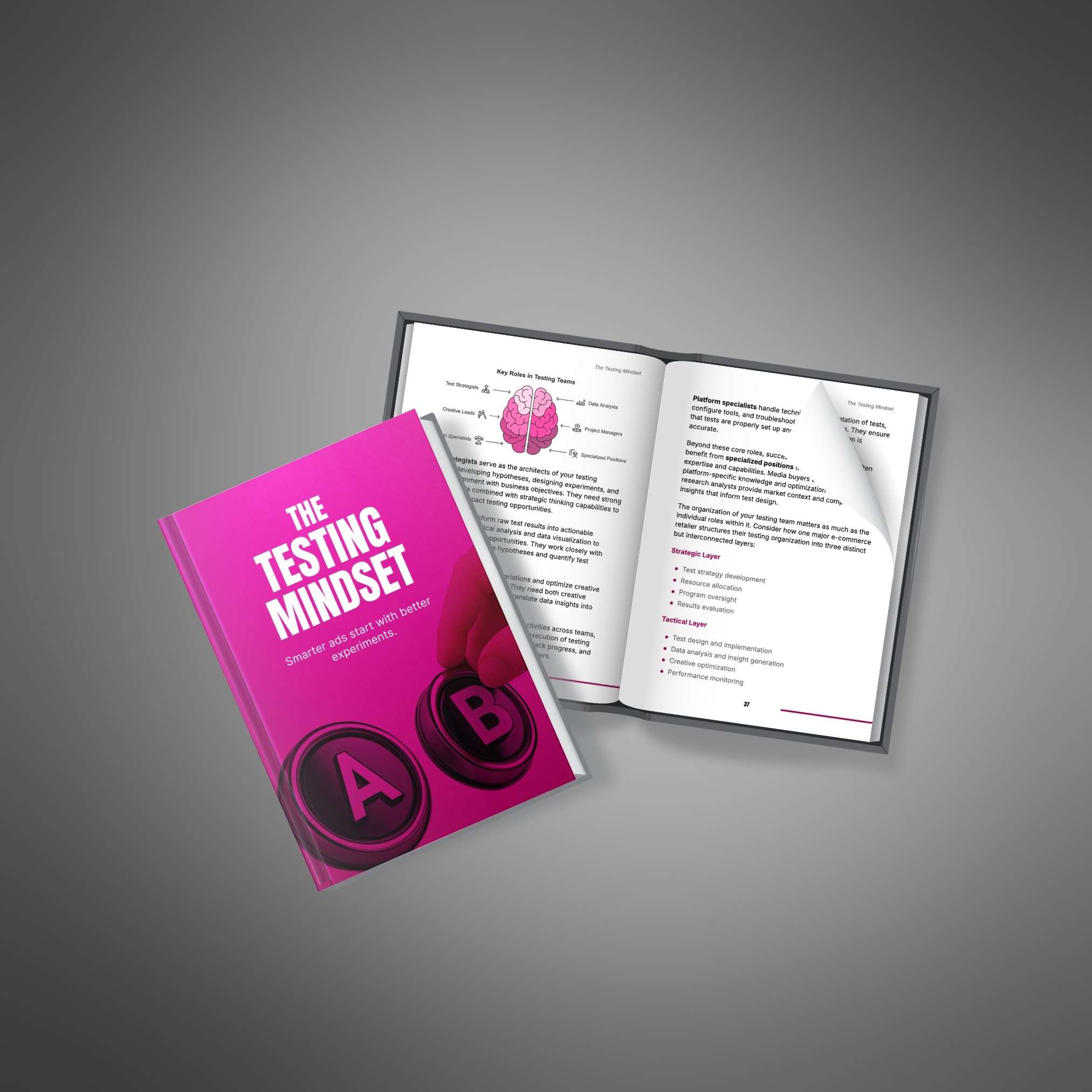 The Testing Mindset resource preview image 3