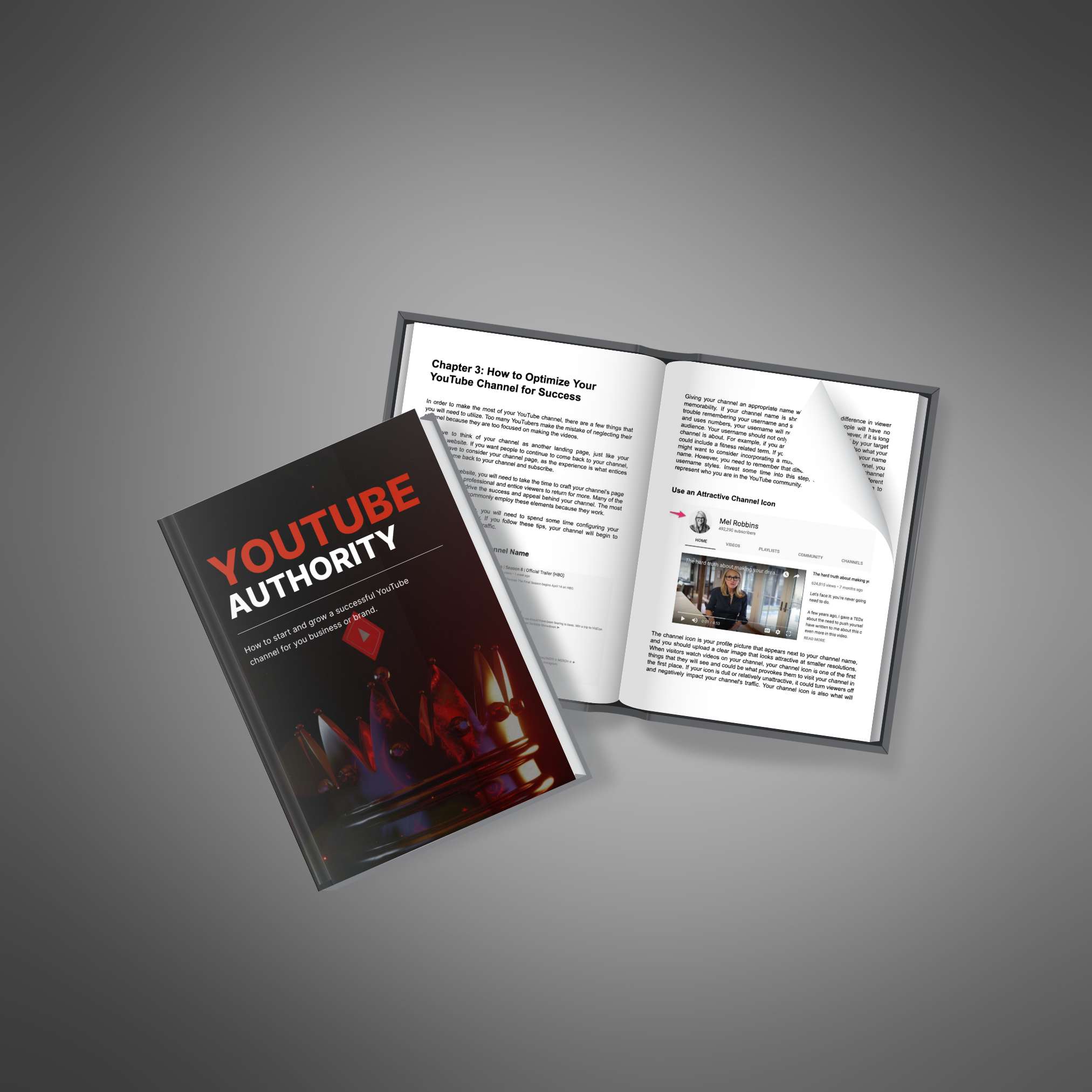 YouTube Authority resource preview image 3