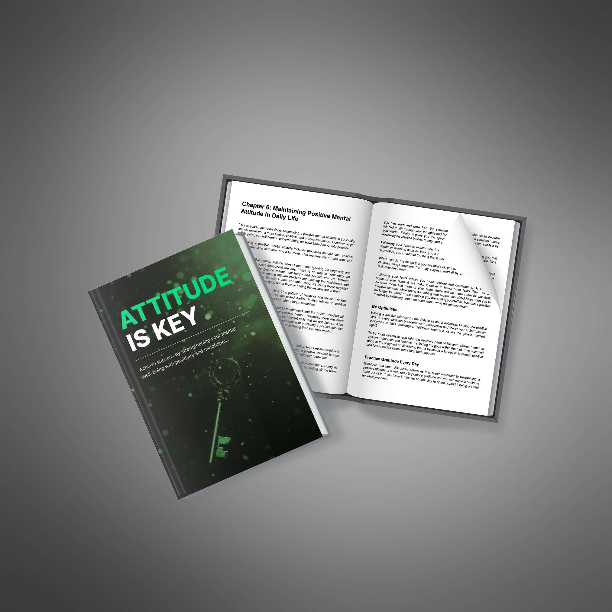 Attitude Is Key resource preview image 3