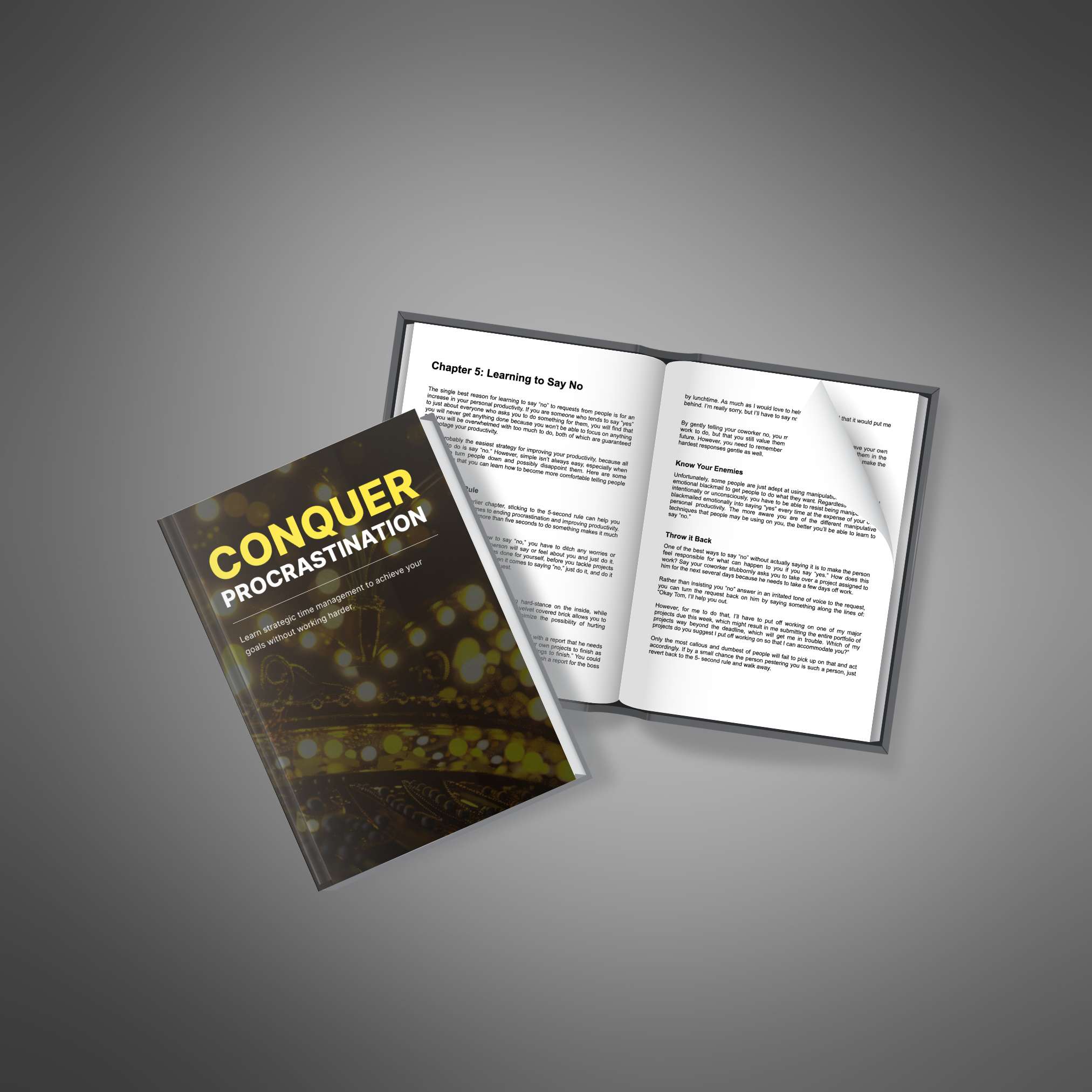Conquer Procrastination resource preview image 3