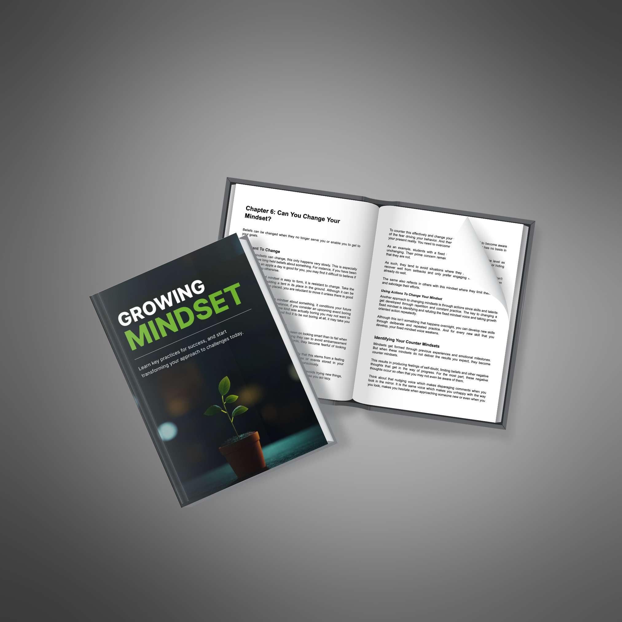 Growing Mindset resource preview image 3