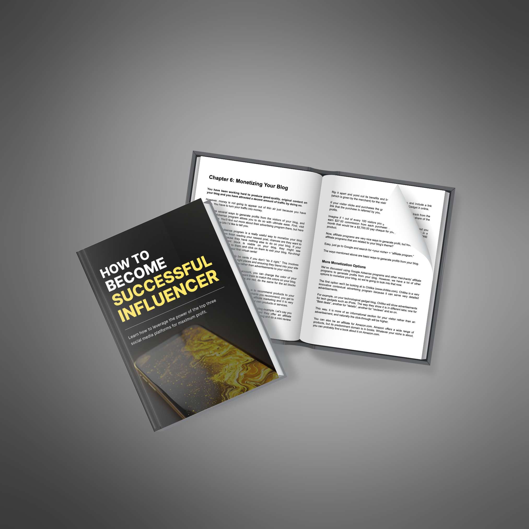 How To Become a Successful Influencer resource preview image 3