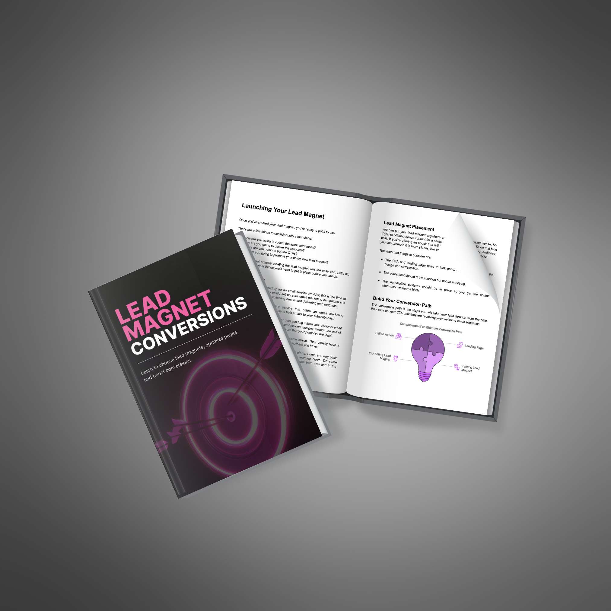 Lead Magnet Conversions resource preview image 3