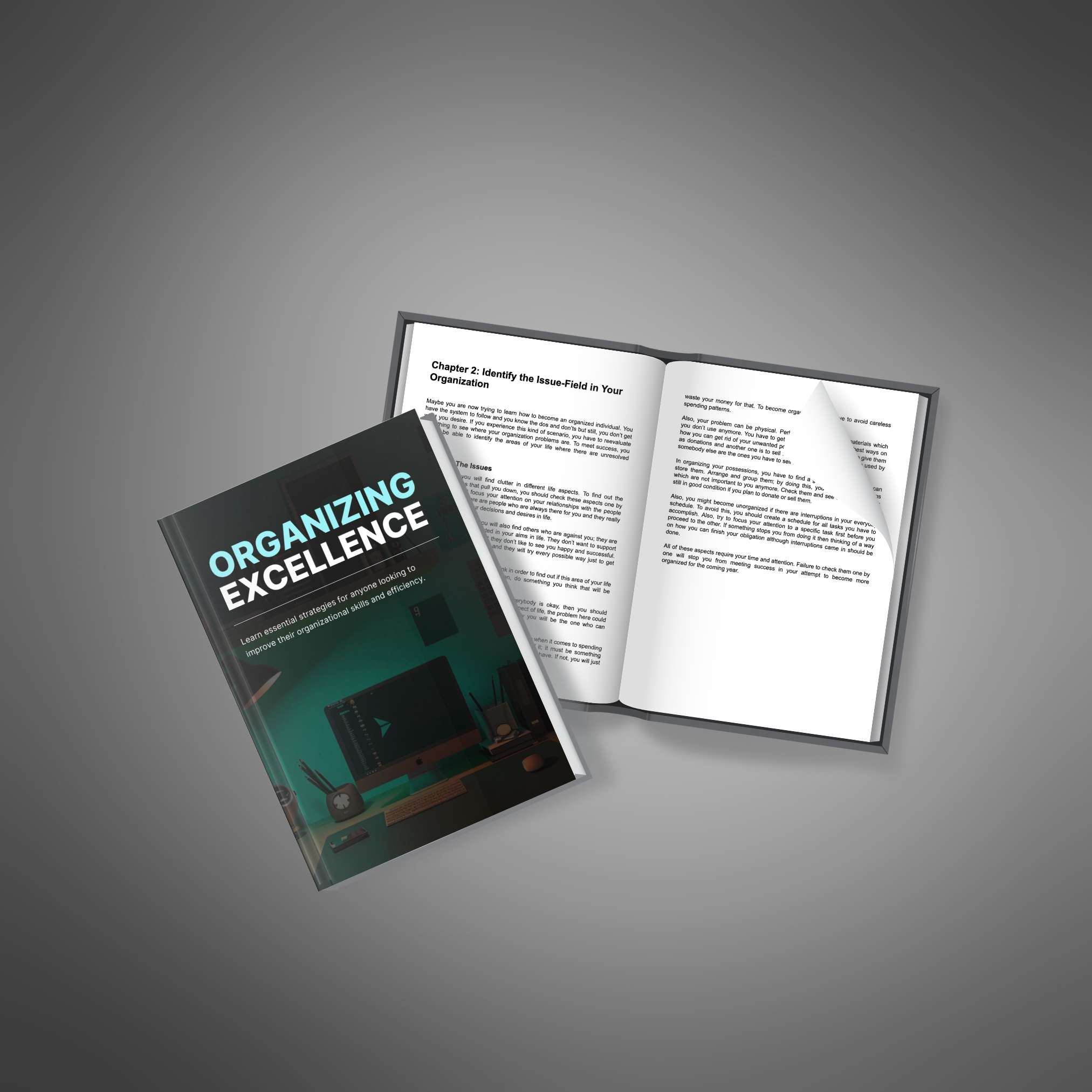 Organizing Excellence resource preview image 3