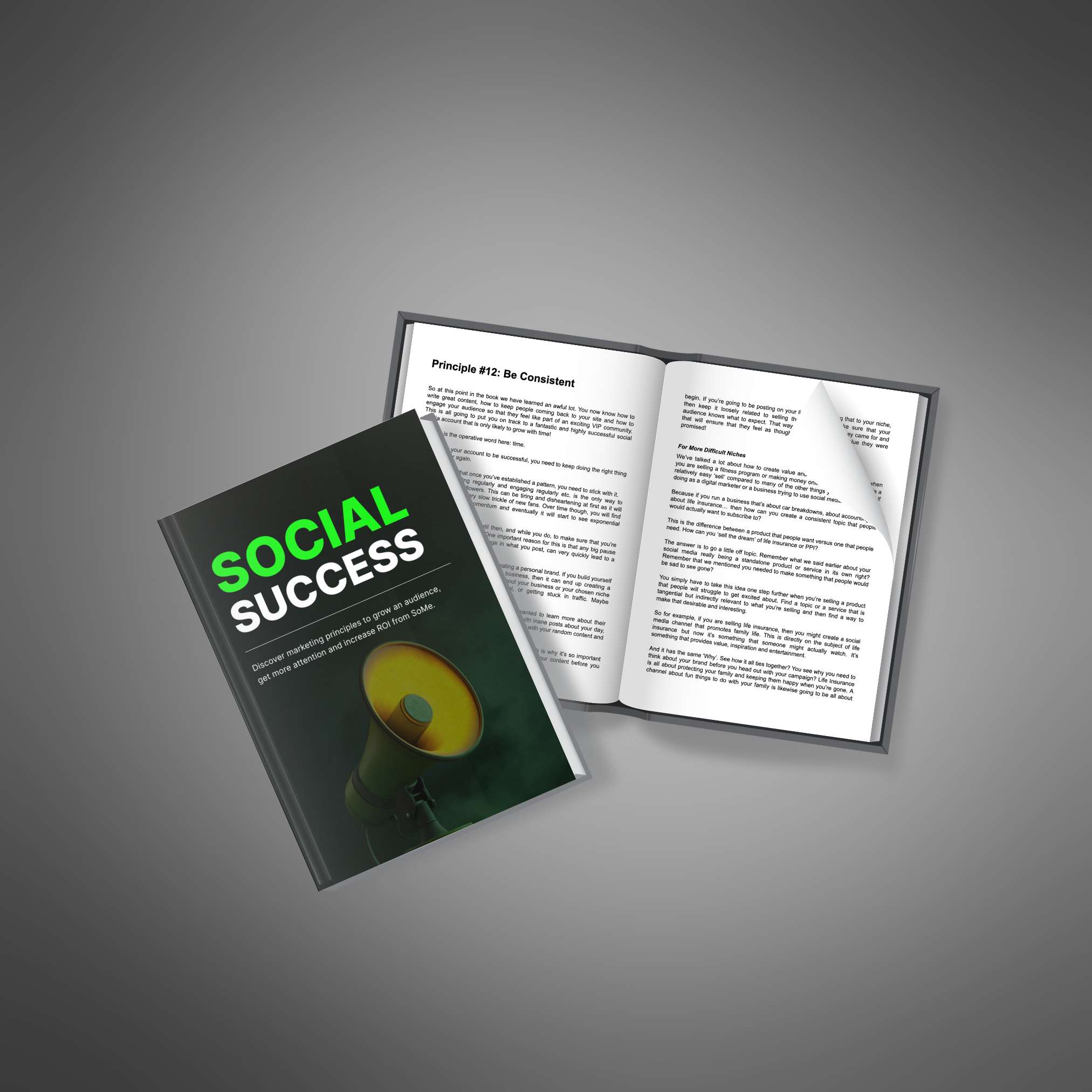 Social Success resource preview image 3